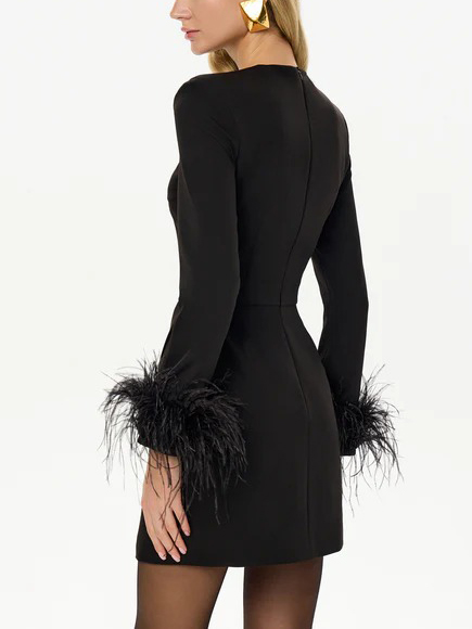 Elegant Feather Sleeve Slit Mini Dress