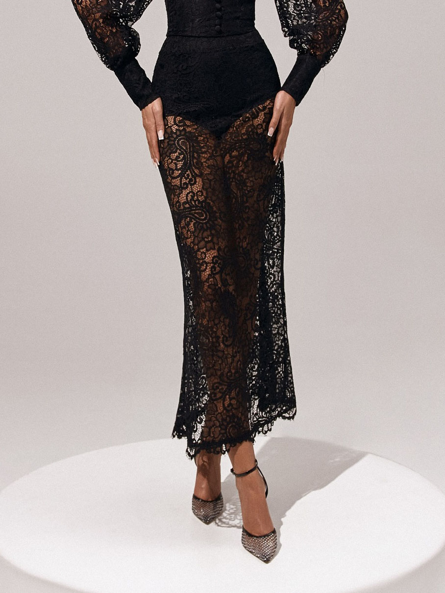Elegant Lace Elastic Waist Skirt