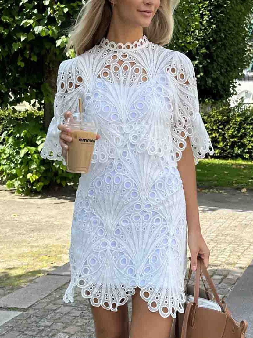 Exquisite Peacock Pattern Openwork Lace Mini Dress