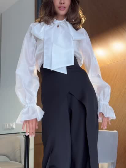 Elegant Retro Tie-neck Long-sleeved Shirt