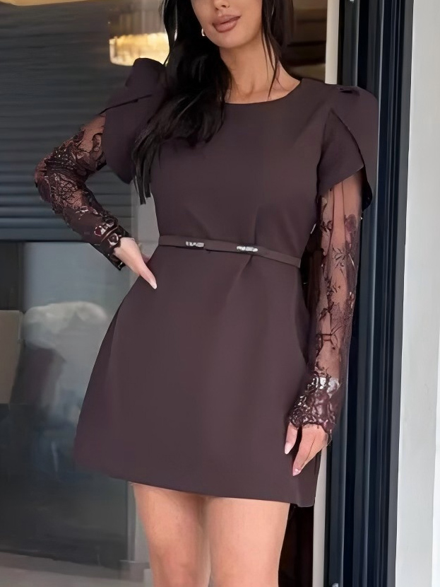 Elegant Lace Sleeve Mini Dress