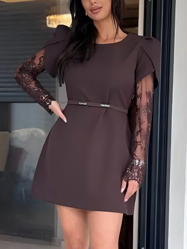 Elegant Lace Sleeve Mini Dress