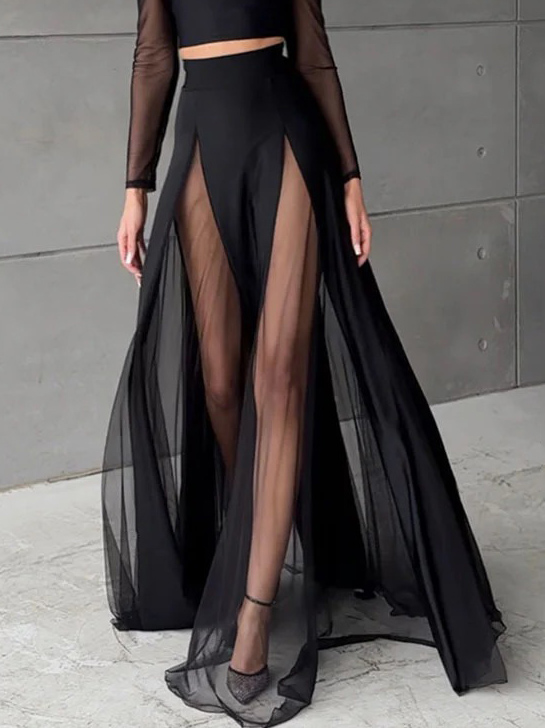 Elegant Paneled Mesh Flared Skirt