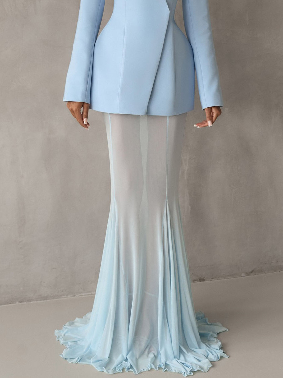 Elegant Mesh Sheer Fishtail Maxi Skirt