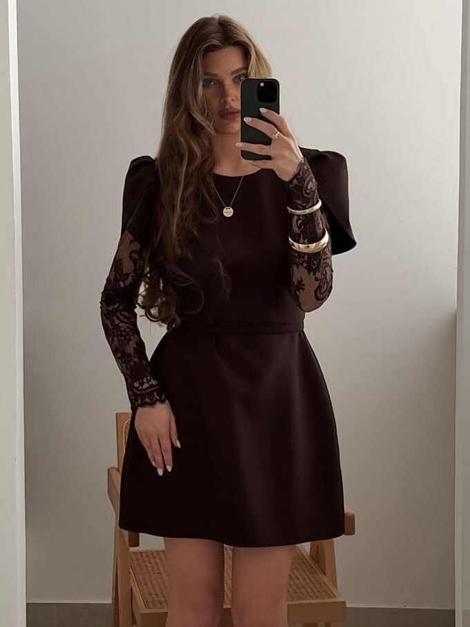 Elegant Lace Sleeve Mini Dress