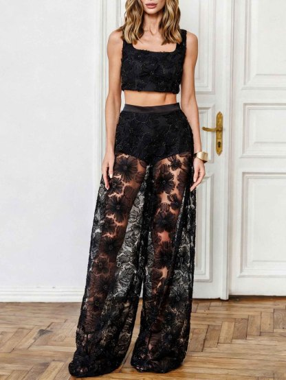 Elegant Lace Embroidered Sheer & Wide-Leg Pants Two-Piece Set
