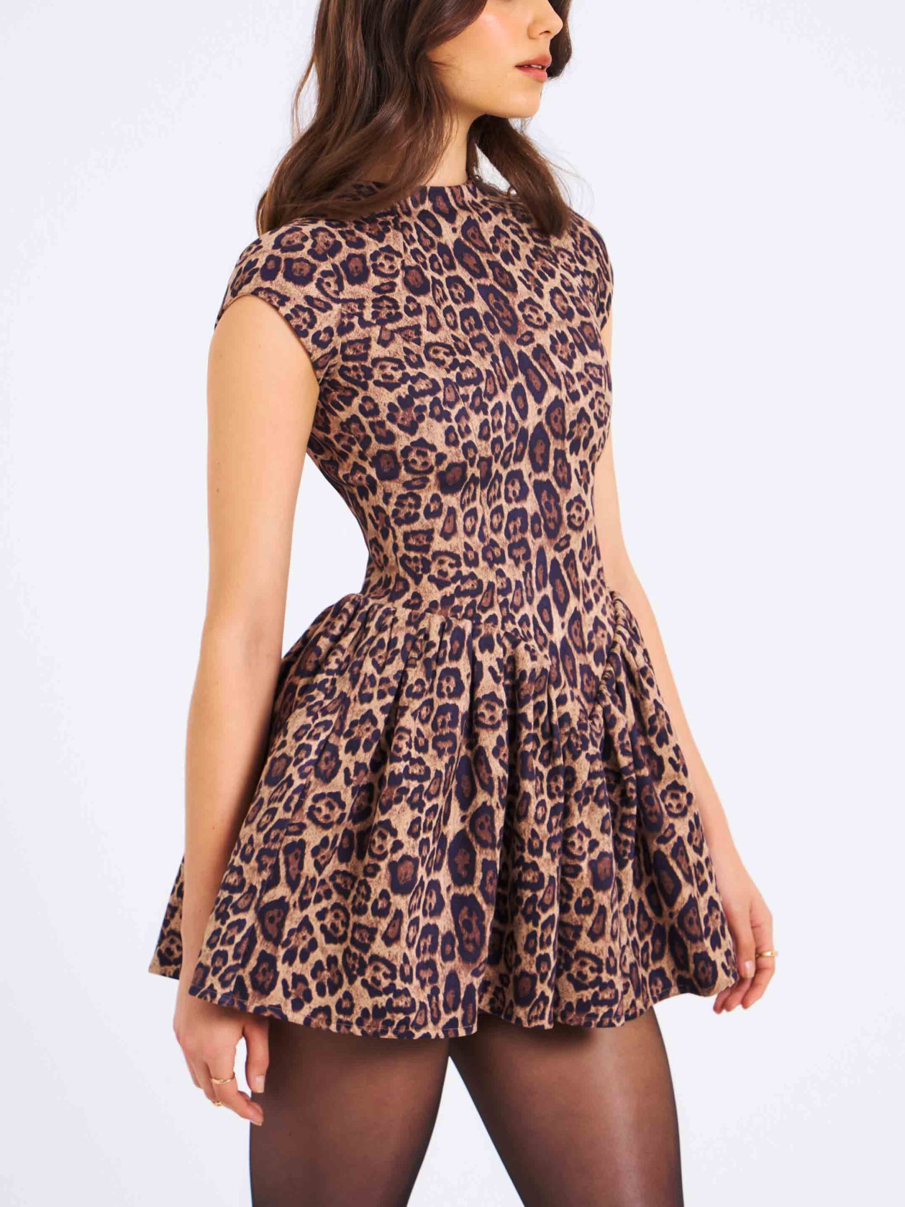 Elegant And Stylish Leopard Print Mini Dress