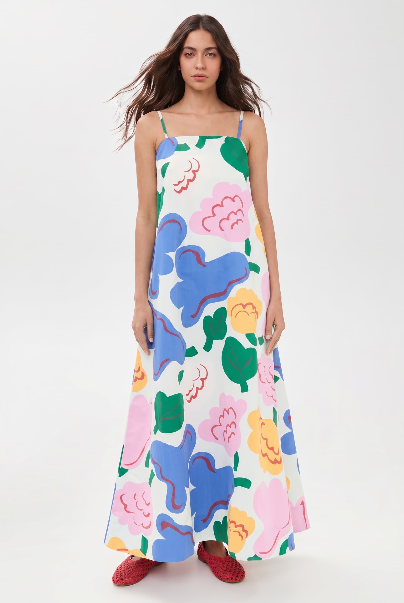 Printed A- Line Maxi Dress
