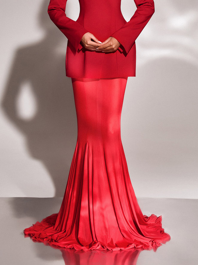 Elegant Sheer Mesh Flared Skirt