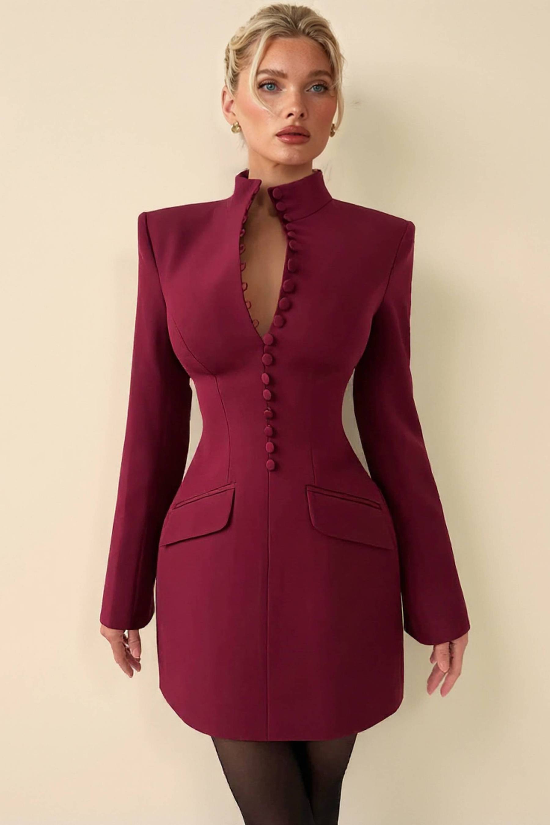 Stand Collar Long Sleeve Mini Dress