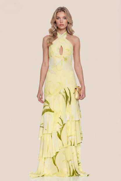 Halter-Neck Printed Maxi Dress