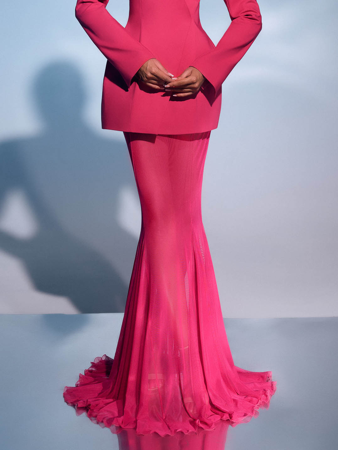 Elegant Sheer Mesh Flared Skirt