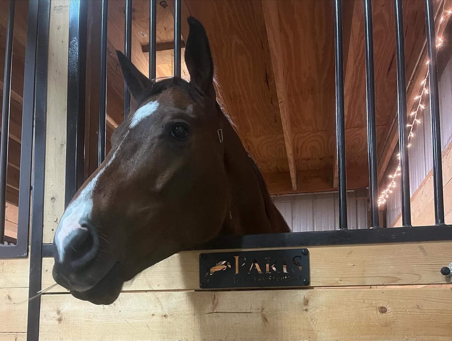 Plaque Nom Personnalisée Découpée au Laser