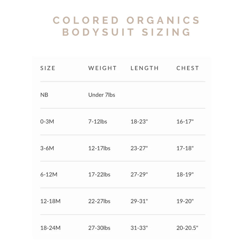 Personalised Baby Embroidered Bodysuit