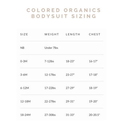 Personalised Baby Embroidered Bodysuit