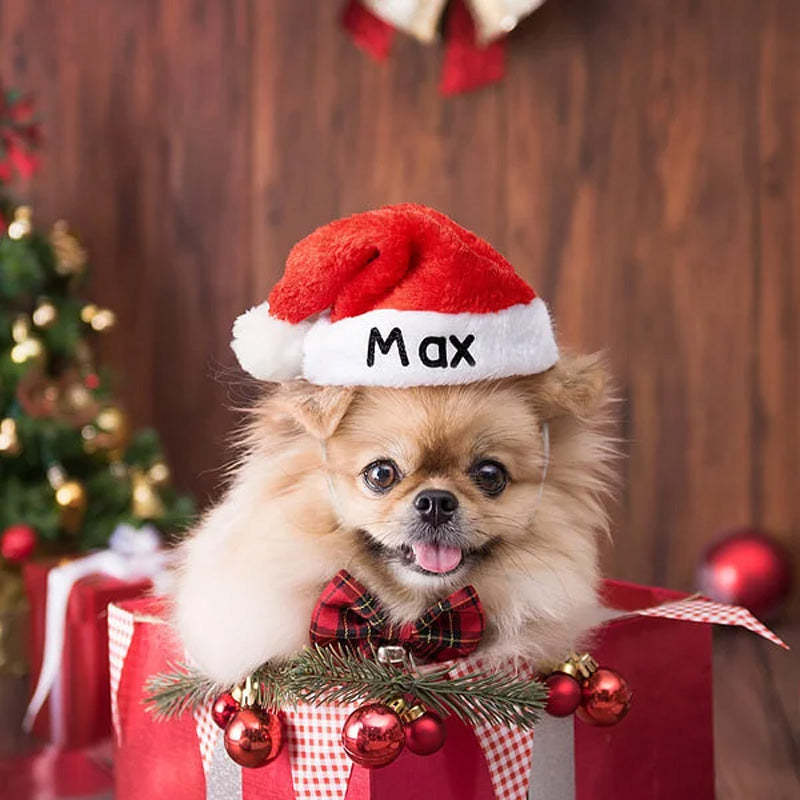 Personalized Soft and Plush Christmas Hat