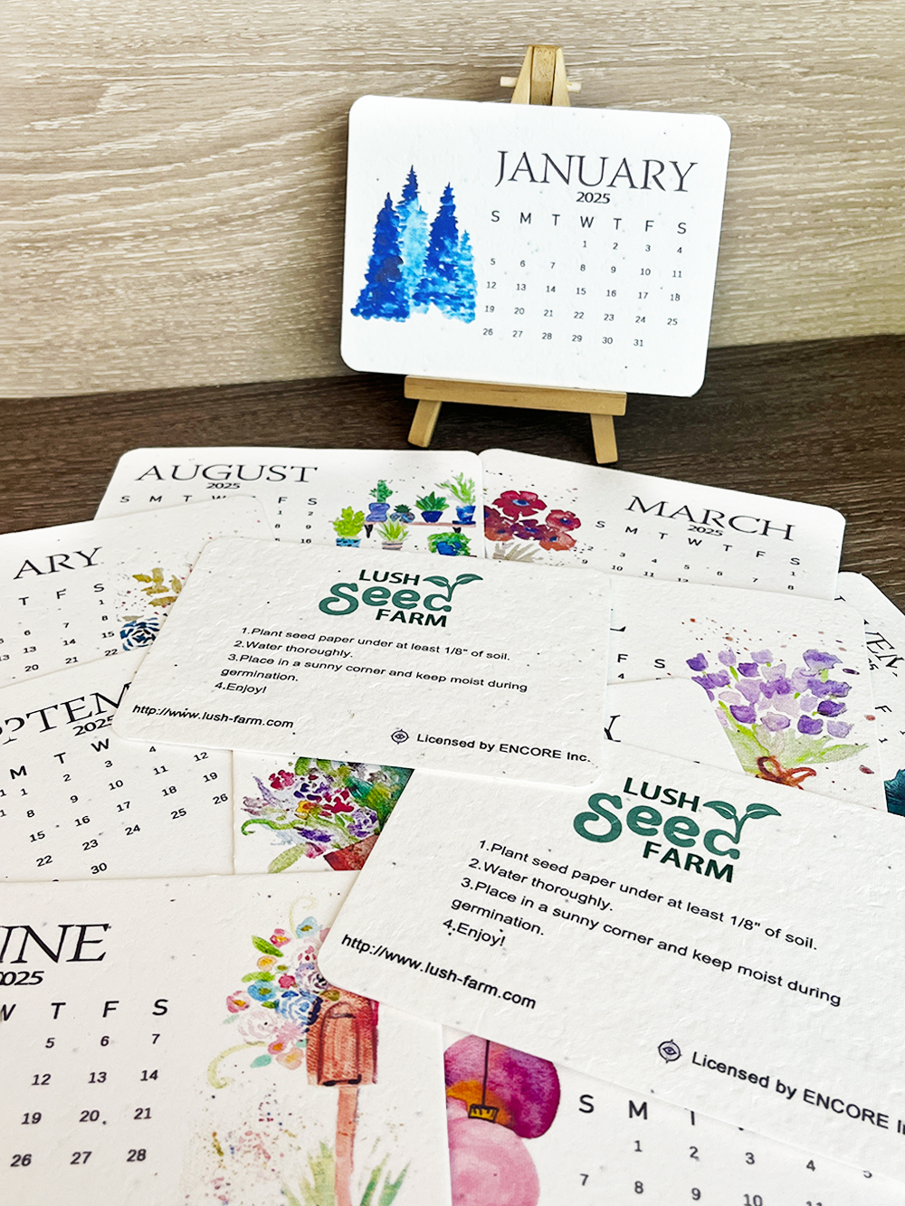 ✨Last Day 60% OFF🌱Eco-Friendly Plantable Love Seed Calendar 2025