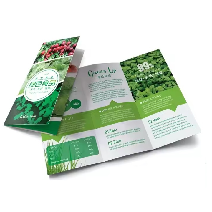 Custom Trifold Pamphlet Printing