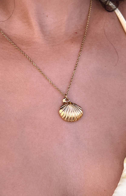 Ariel Gold Shell Necklace-Vavasi.All Rights Reserved.