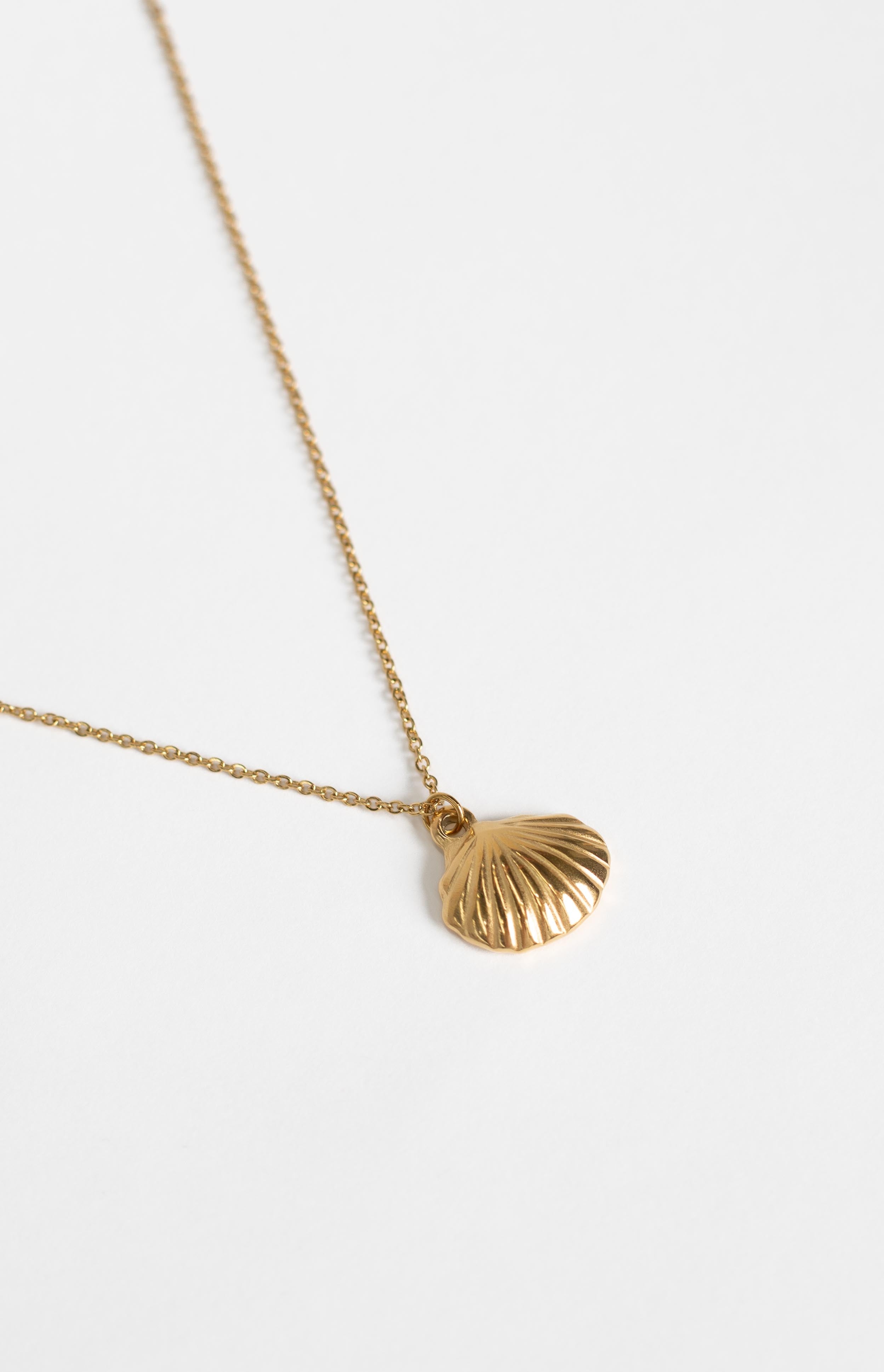 Ariel Gold Shell Necklace-Vavasi.All Rights Reserved.