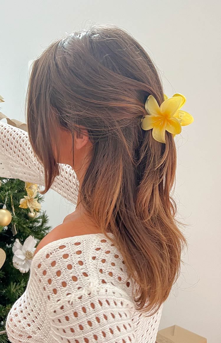 Frangipani Yellow Flower Clip-Vavasi.All Rights Reserved.
