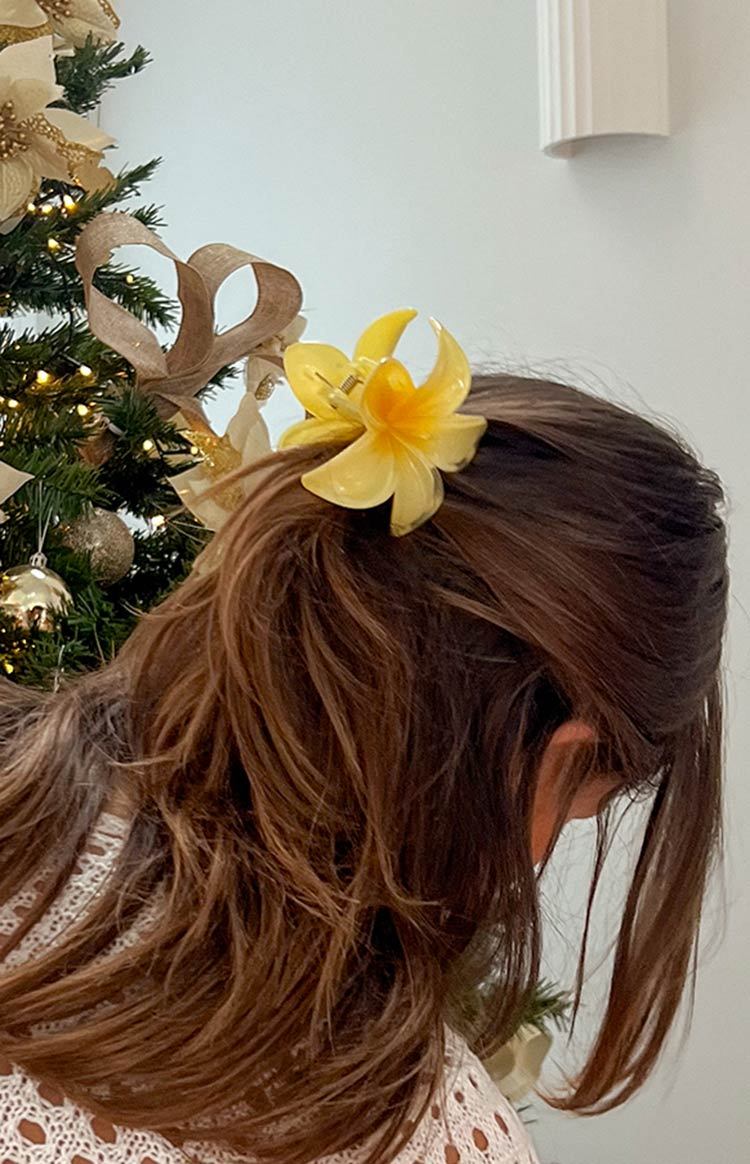 Frangipani Yellow Flower Clip-Vavasi.All Rights Reserved.