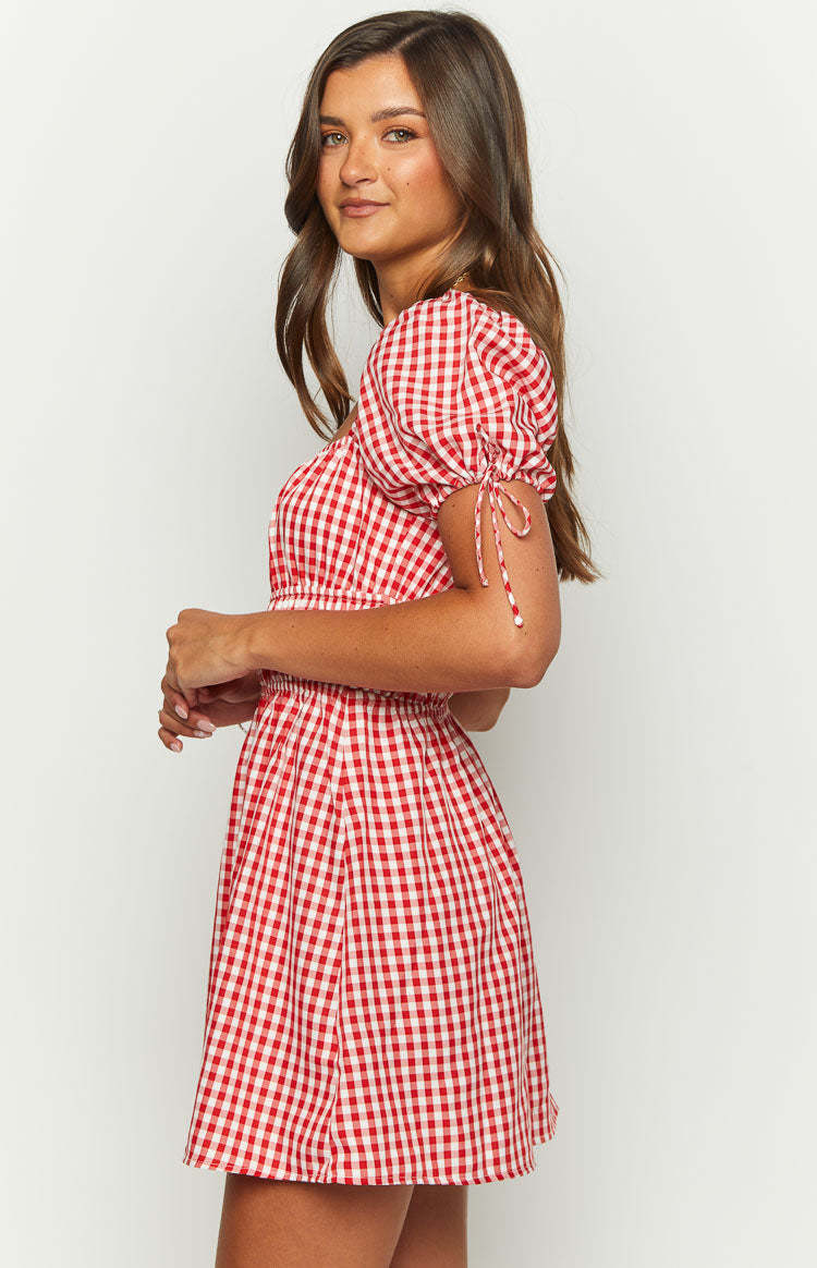 I'm Yours Red Gingham Mini Dress-Vavasi.All Rights Reserved.