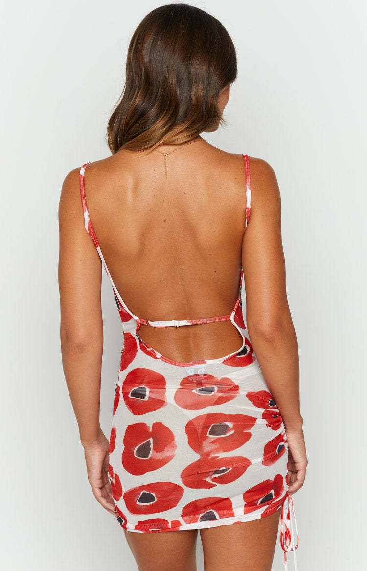 OMIGHTY Painted Flowers Mesh Dress-Vavasi.All Rights Reserved.