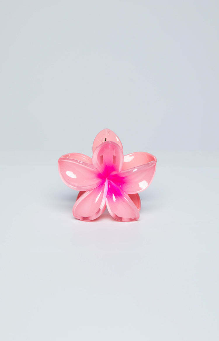 Frangipani Pink Flower Clip-Vavasi.All Rights Reserved.