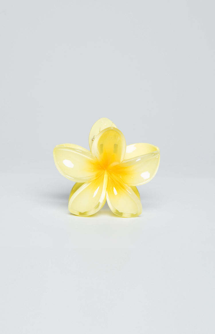 Frangipani Yellow Flower Clip-Vavasi.All Rights Reserved.