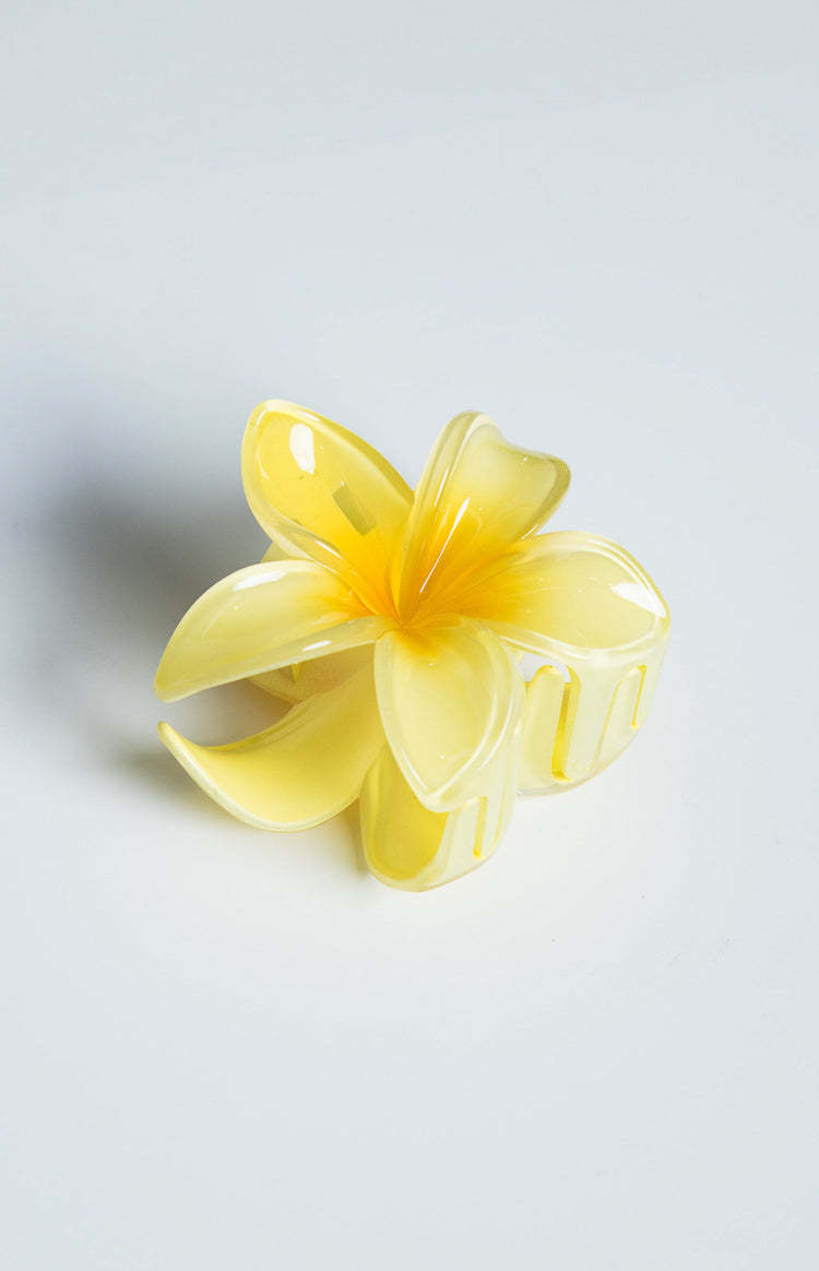 Frangipani Yellow Flower Clip-Vavasi.All Rights Reserved.
