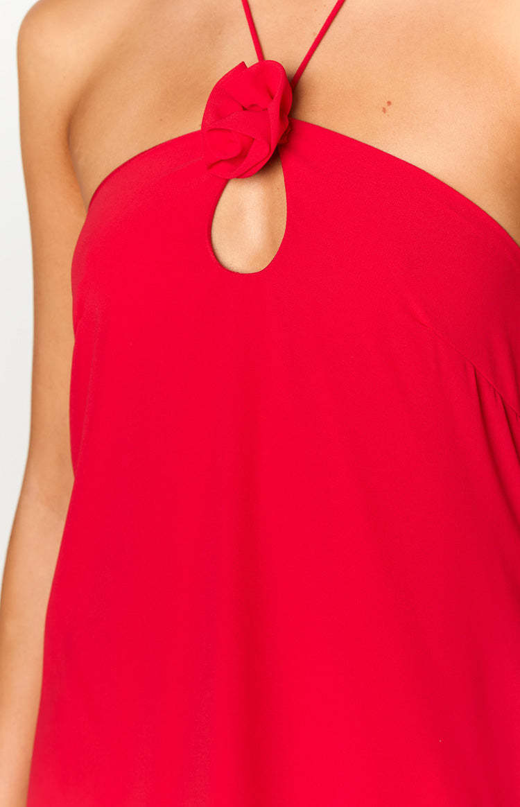Ashlin Red Halter Mini Dress-Vavasi.All Rights Reserved.