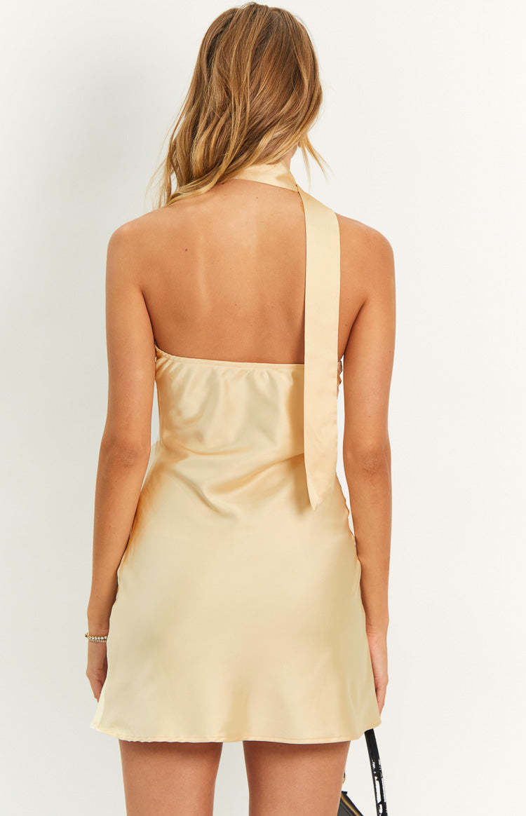 Gemmy Champagne Mini Party Dress-Vavasi.All Rights Reserved.