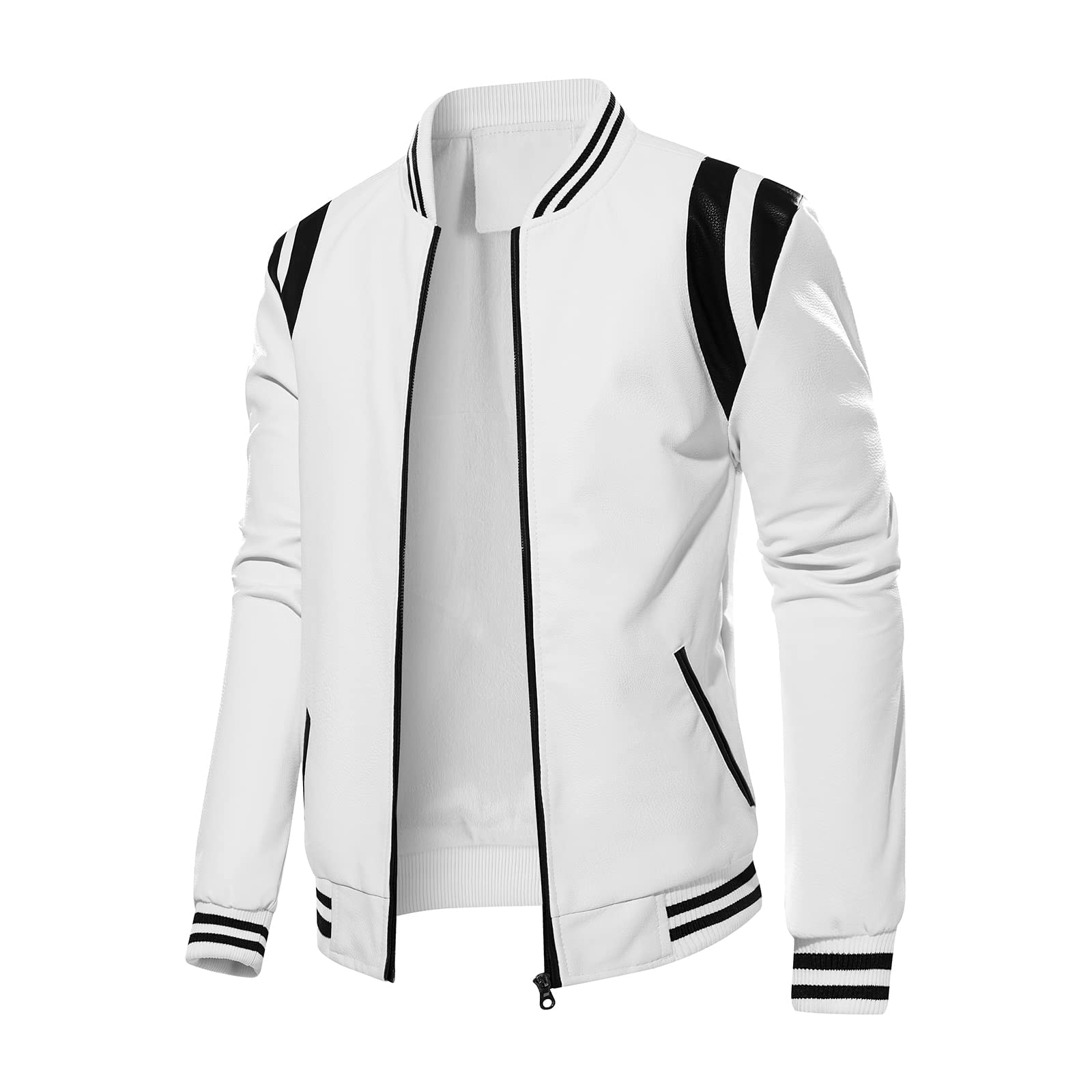 RAYEIN Mens Stand Collar leather jacket