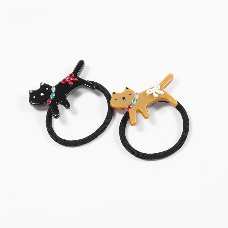 Acetate Clips and Hair Tie