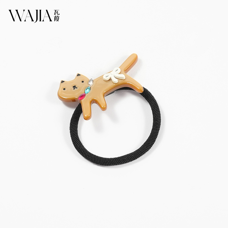 Acetate Clips and Hair Tie