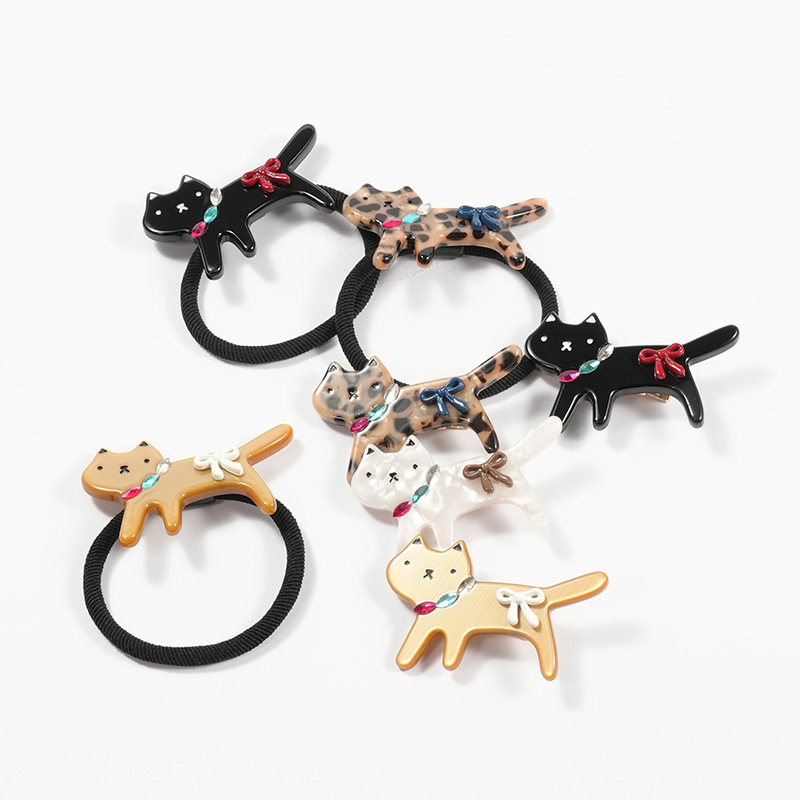 Acetate Clips and Hair Tie