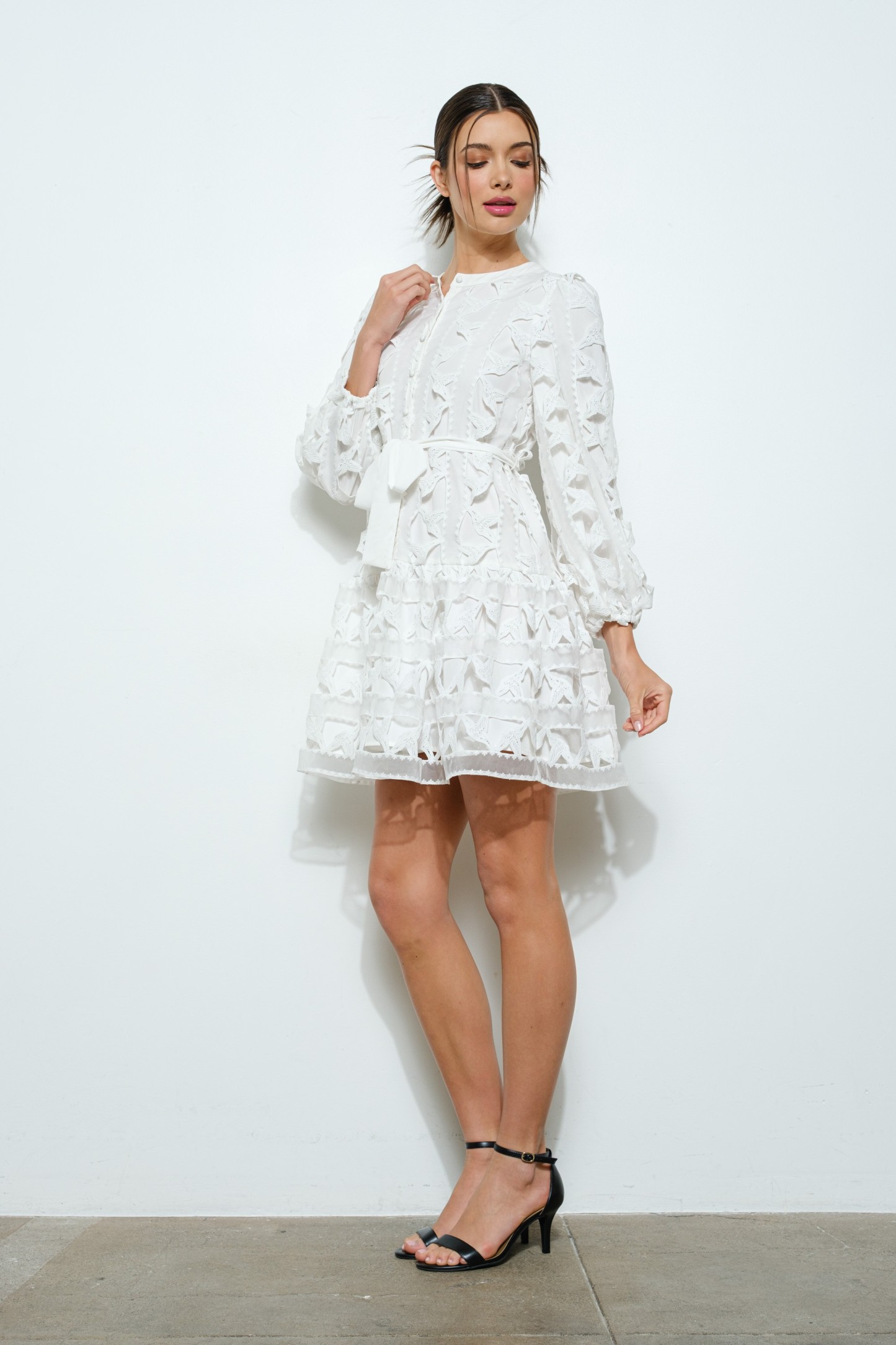 Embroidered Lace Puff Sleeve Mini Dress #23681974