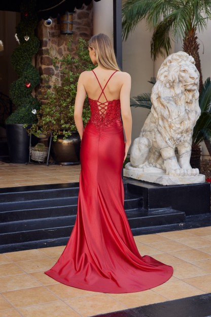 Glitter Dusted Satin Sequined Embellishments Illusion Plunge Prom Dress #C1841