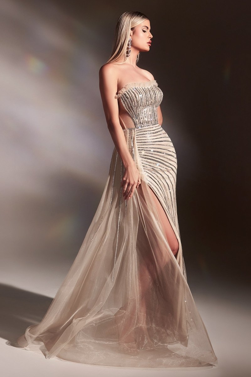 Fitted Multi-Dimensional Geometric Beading Nude-Silver Gown #CD991