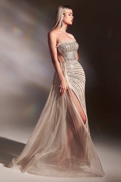 Fitted Multi-Dimensional Geometric Beading Nude-Silver Gown #CD991