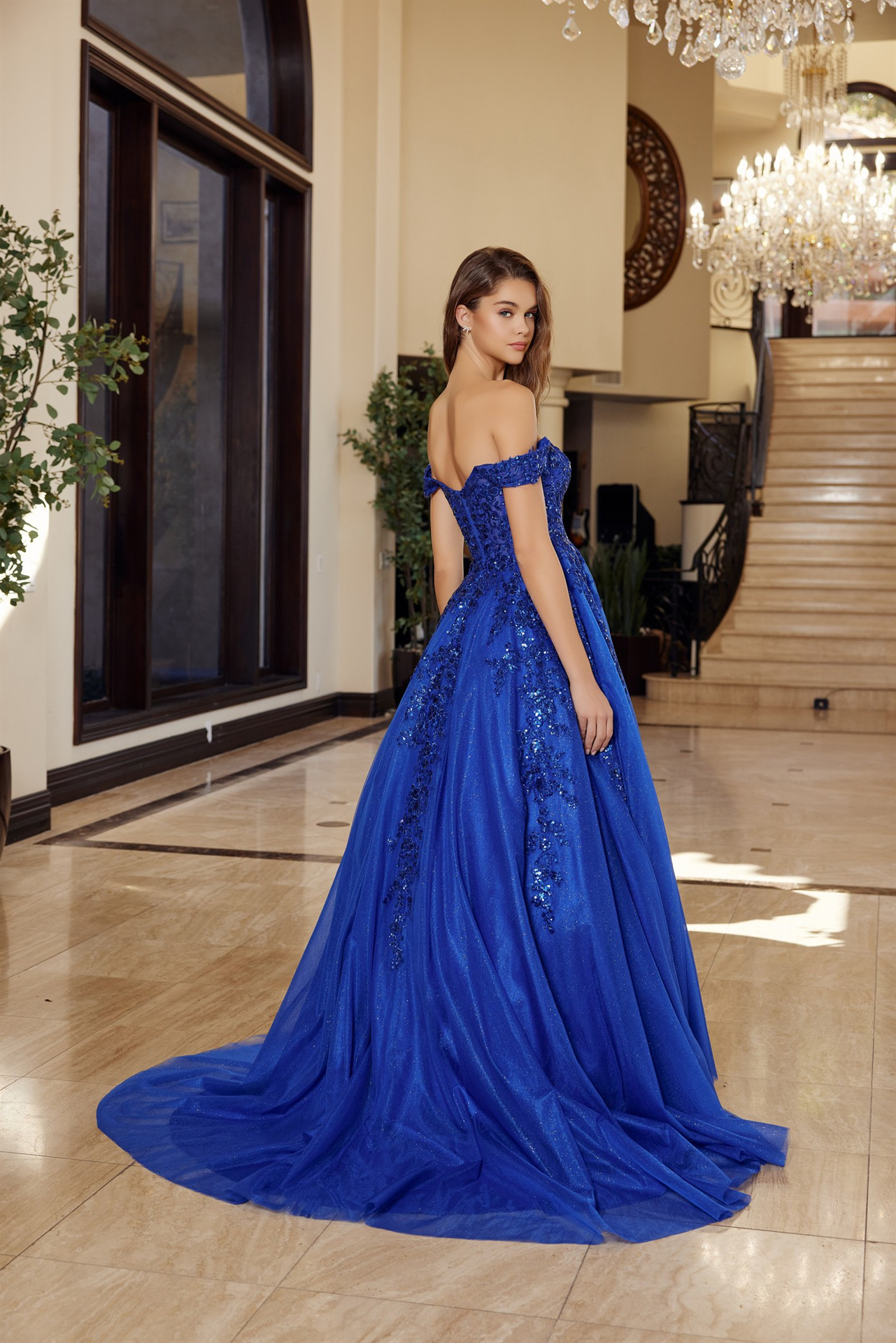 Plunging V Neckline Ball Gown With A Sheer Boned Waistline Prom Dress #H1881