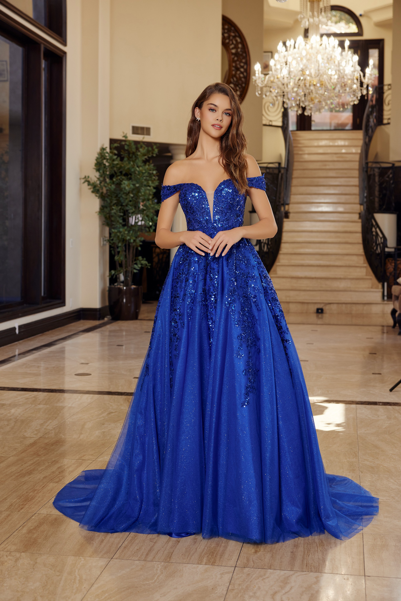 Plunging V Neckline Ball Gown With A Sheer Boned Waistline Prom Dress #H1881