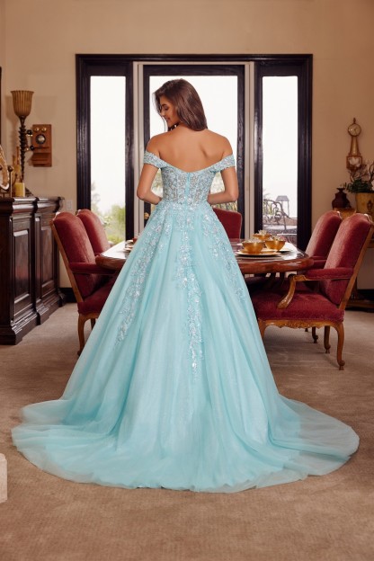 Plunging V Neckline Ball Gown With A Sheer Boned Waistline Prom Dress #H1881