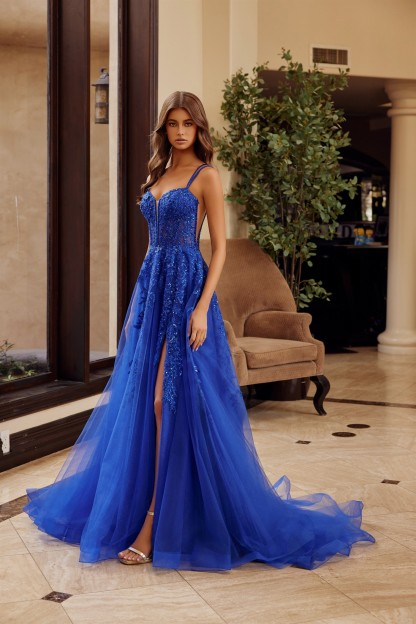 Fit And Flare Long Gown Semi Sweetheart Plunging Neckline Prom Dress #H1885