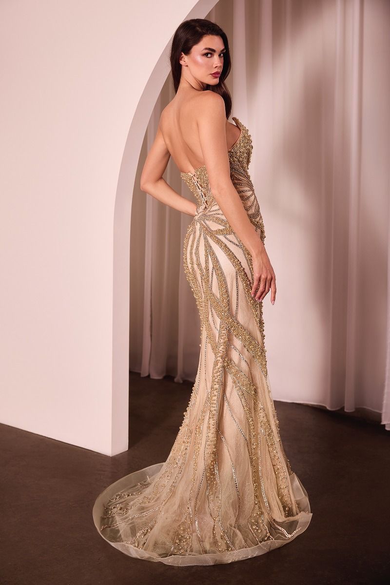 Fitted Strapless Plunging V-Neck Contouring Motif Prom Dress #CC0688