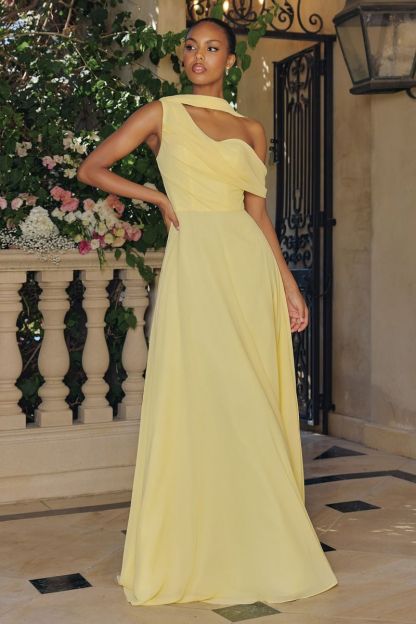 Graceful A-Line One-Shoulder Chiffon Prom Dress #T716