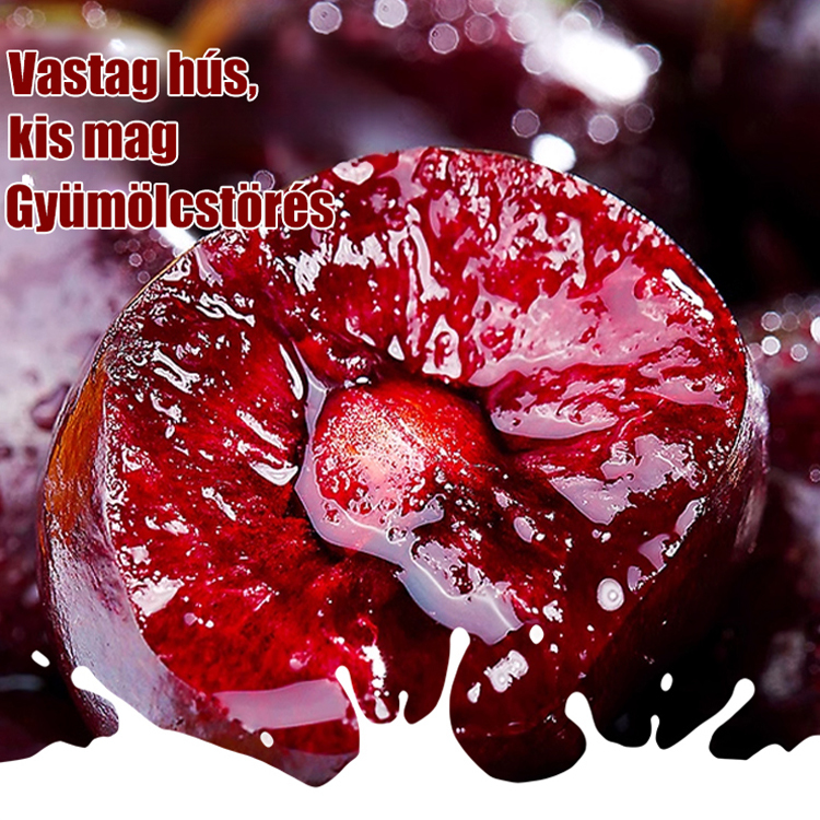 Teljes mértékben importált chilei cseresznye magvak 🍒Nincs szükséged kertre a bőséges, édes terméshez.