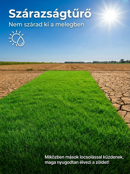 Unja a hétvégi fűnyírást? Itt a Prémium Ír Törpepázsit:【Csírázási arány 99%】Négyszezonos fagyálló pázsitmag