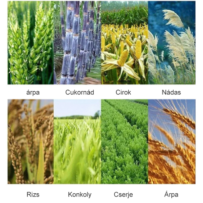 Drótos gyomirtó kerék fűnyírófej